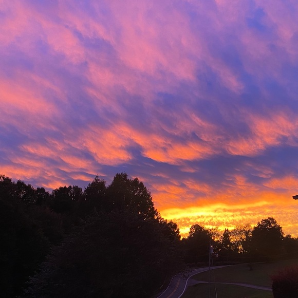 Meet your Posher, Kaylie - Picture 1 of 1